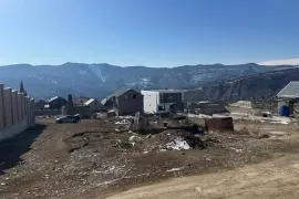 იყიდება მიწის ნაკვეთი, სასოფლო - სამეურნეო, ნაფეტვრები