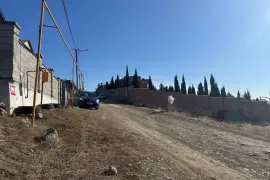 იყიდება მიწის ნაკვეთი, სასოფლო - სამეურნეო, ნაფეტვრები