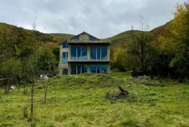 იყიდება სახლი, 7 ოთახიანი, მცხეთა, ქვემო ნიჩბისი