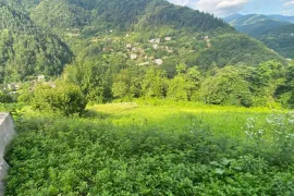 იყიდება სახლი, 6 ოთახიანი, ქედა
