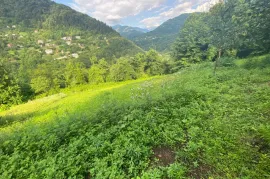 იყიდება სახლი, 6 ოთახიანი, ქედა