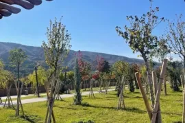 იყიდება ბინა, 3 ოთახიანი, ახალი აშენებული, თბილისი, ისანი