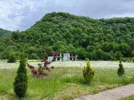 House For Sale, 4 Room, Borjomi , Daba 