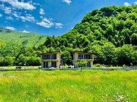 House For Sale, 4 Room, Borjomi , Daba 