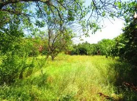 იყიდება სახლი, 3 ოთახიანი, თბილისი, ფონიჭალა