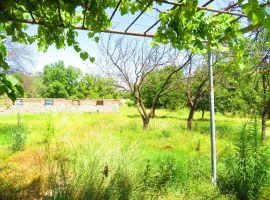 იყიდება სახლი, 3 ოთახიანი, თბილისი, ფონიჭალა