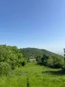 Land For Sale, Antoki