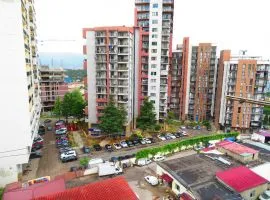 Аренда, 5 Kомнатная, Старое здание, Тбилиси, Вашлиджвари