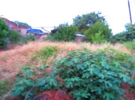 იყიდება მიწის ნაკვეთი, სასოფლო - სამეურნეო, ელია