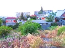 იყიდება მიწის ნაკვეთი, სასოფლო - სამეურნეო, ელია