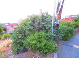 იყიდება მიწის ნაკვეთი, სასოფლო - სამეურნეო, ელია