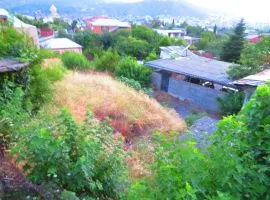 იყიდება მიწის ნაკვეთი, სასოფლო - სამეურნეო, ელია