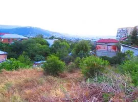 იყიდება მიწის ნაკვეთი, სასოფლო - სამეურნეო, ელია