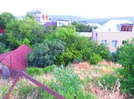 იყიდება მიწის ნაკვეთი, სასოფლო - სამეურნეო, ელია