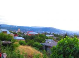 იყიდება მიწის ნაკვეთი, სასოფლო - სამეურნეო, ელია