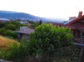 იყიდება მიწის ნაკვეთი, სასოფლო - სამეურნეო, ელია