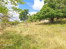 Land For Sale, Kojori