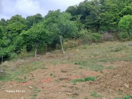 Land For Sale, Kojori