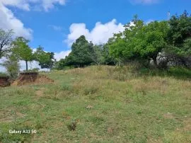 Land For Sale, Kojori