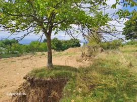 Land For Sale, Kojori