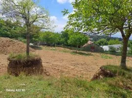 Land For Sale, Kojori