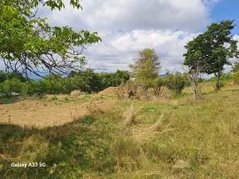 Land For Sale, Kojori