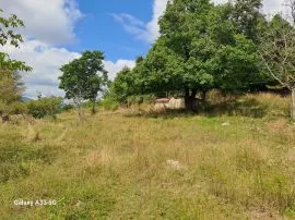 Land For Sale, Kojori