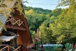 ქირავდება სახლი დღიურად, 2 ოთახიანი, მცხეთა, ცხვარიჭამია