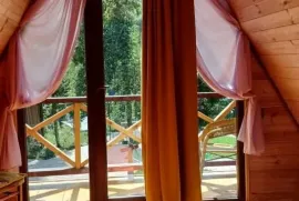 ქირავდება სახლი დღიურად, 2 ოთახიანი, მცხეთა, ცხვარიჭამია