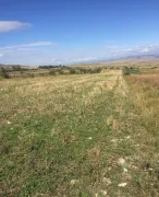 Land For Sale, Kavtiskhevi