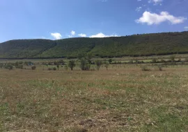 Land For Sale, Kavtiskhevi