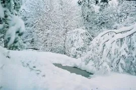 საქართველოს კურორტები: აბასთუმანი