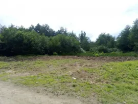 Land For Sale, Ureki