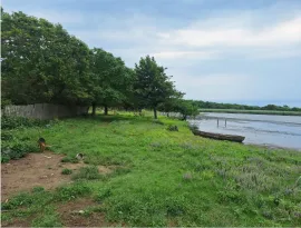 Land For Sale, Agricultural, Grigoleti