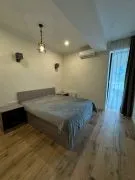 Аренда, 2 Kомнатная, Новостройка, Тбилиси, vake