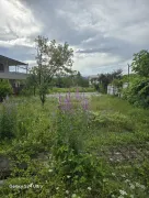 Land For Sale, Misaqtsieli