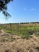 Land For Sale, Kakhaberi District