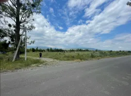 Land For Sale, Mukhrani