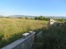 Land For Sale, Agricultural, Dzalisi