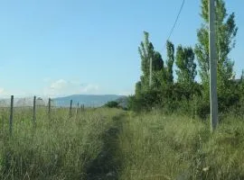 Land For Sale, Agricultural, Dzalisi