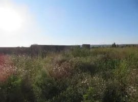 Land For Sale, Agricultural, Dzalisi