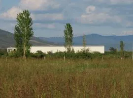 Land For Sale, Agricultural, Dzalisi