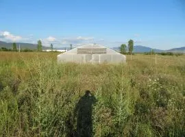 Land For Sale, Agricultural, Dzalisi