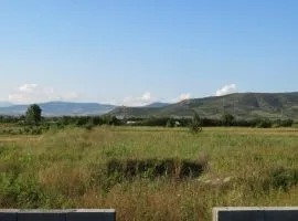 Land For Sale, Agricultural, Dzalisi