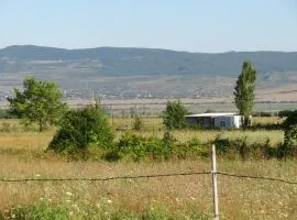 Land For Sale, Agricultural, Dzalisi