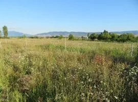 Land For Sale, Agricultural, Dzalisi