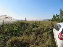 Land For Sale, Agricultural, Dzalisi