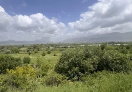 Land For Sale, Natakhari