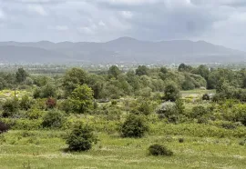 Land For Sale, Natakhari