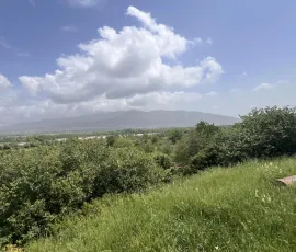 Land For Sale, Natakhari